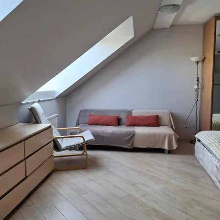 Apartment Cozy In Old Town Vilnius