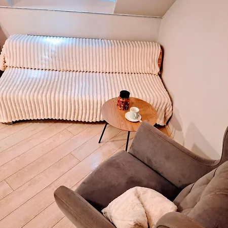 Cozy In Old Town ヴィリニュス