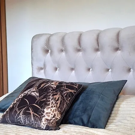 公寓 Cozy In Old Town 维尔纽斯