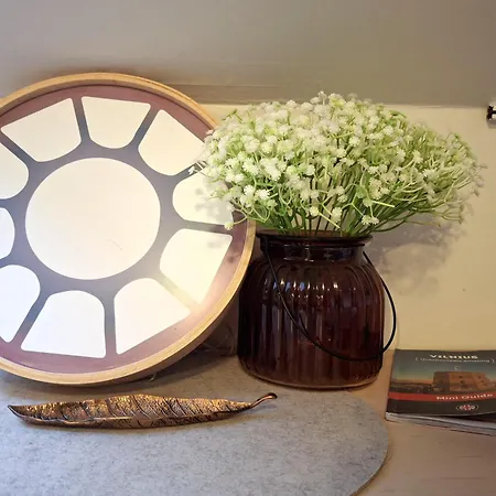 Cozy In Old Town 维尔纽斯