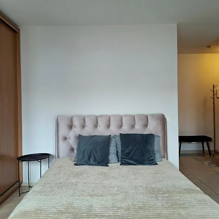 Апартаменты Cozy In Old Town Вильнюс