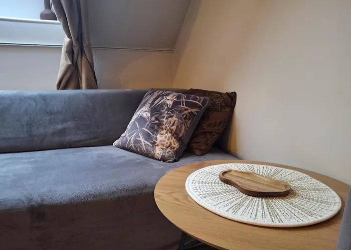 Cozy In Old Town 公寓 维尔纽斯