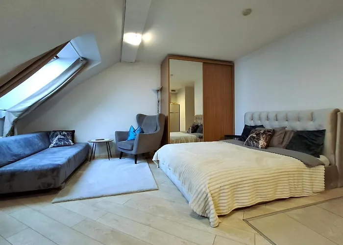 公寓 Cozy In Old Town 维尔纽斯