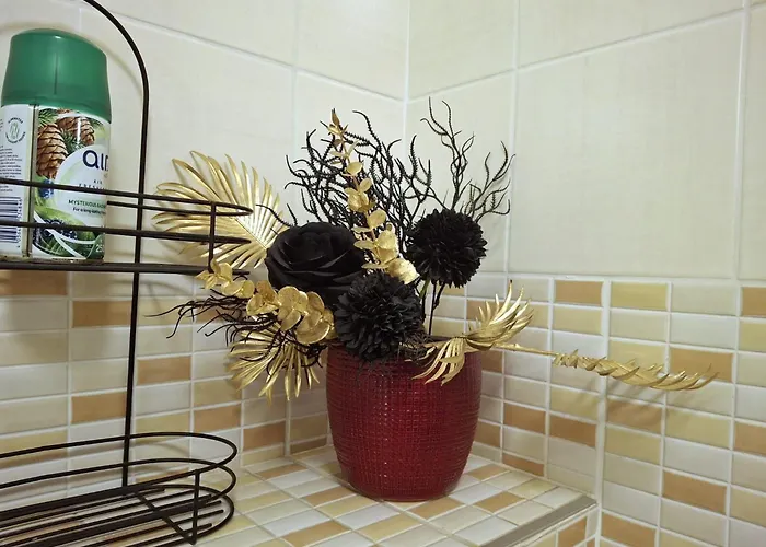 Cozy In Old Town 公寓 维尔纽斯